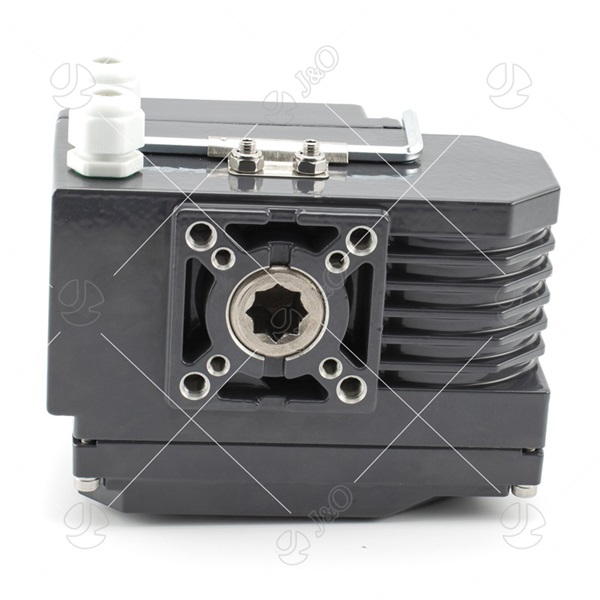 Electric Actuator For Valves