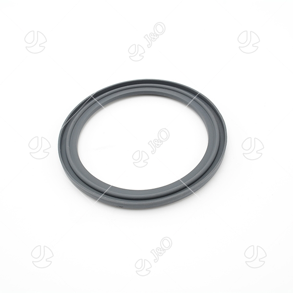Viton Gasket For Sanitary Stainless Steel Clamp Ferrule Flange Type